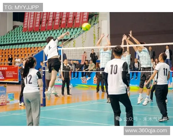 武汉排球队的节奏解析与排球深度探讨之旅 武汉排球队的节奏解析与排球深度探讨之旅